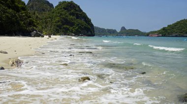 tropikal wua ta tur Adası Tayland