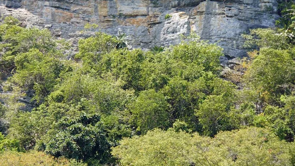 Tropikalne wua ta okrążenia wyspy w Tajlandii — Zdjęcie stockowe