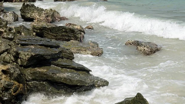 Trópusi wua ta kör island, Thaiföld — Stock Fotó