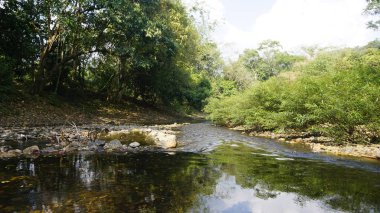 Tayland sok Nehri'nde rafting turu