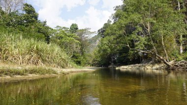 Tayland sok Nehri'nde rafting turu