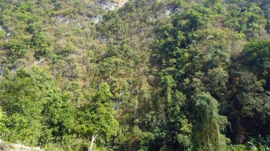 Tayland sok Nehri'nde rafting turu