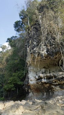 Tayland sok Nehri'nde rafting turu
