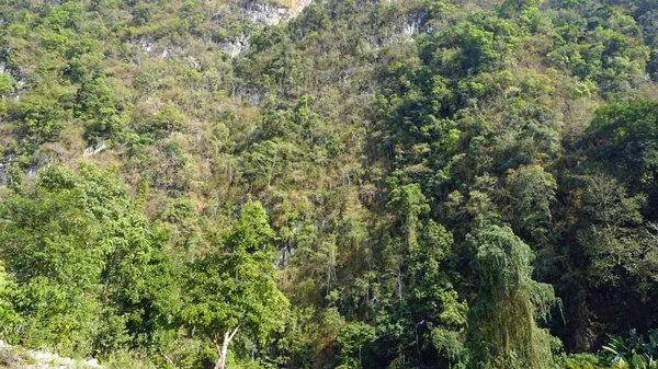 Passeio de rafting no rio sok na Tailândia — Fotografia de Stock