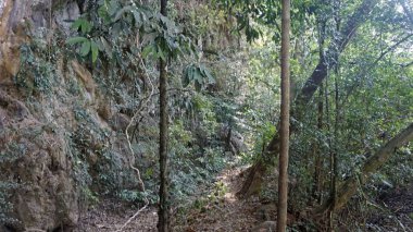 Tayland sok Nehri'nde rafting turu
