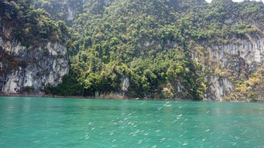 khao sok chiao lan gölde tropikal peyzaj