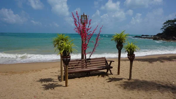 Tropical coral beach on koh samui — Stock Photo, Image