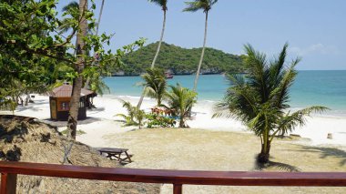 tropikal wua ta tur Adası Tayland