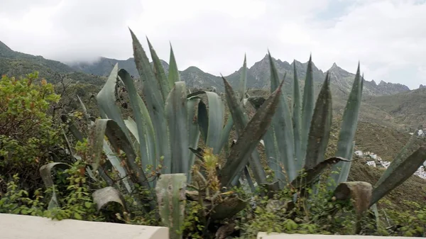 Estradas serpentinas curvilíneas em montanhas anaga — Fotografia de Stock