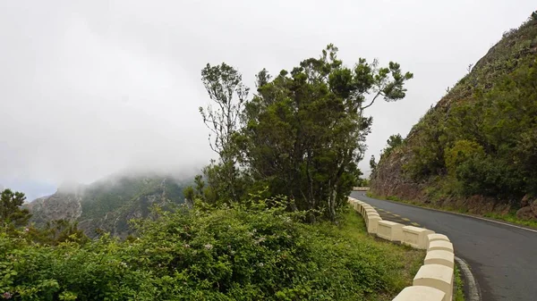 Пишні серпантинні дороги в горах анаги — стокове фото