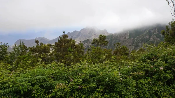 Caminos serpenteantes con curvas en montañas anaga —  Fotos de Stock