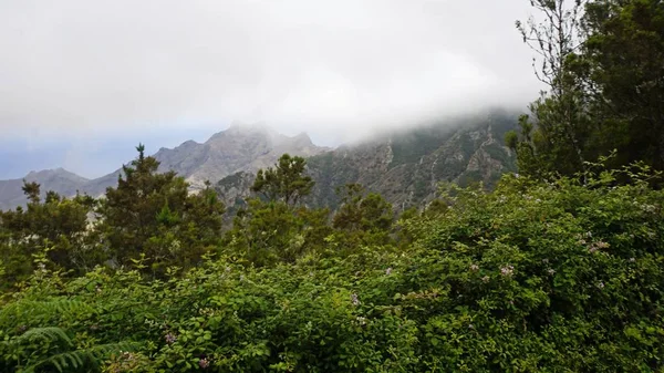 Estradas serpentinas curvilíneas em montanhas anaga — Fotografia de Stock