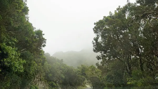 Strade sinuose a serpentina in montagna anaga — Foto Stock