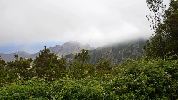 Caminos serpenteantes con curvas en montañas anaga — Foto de Stock