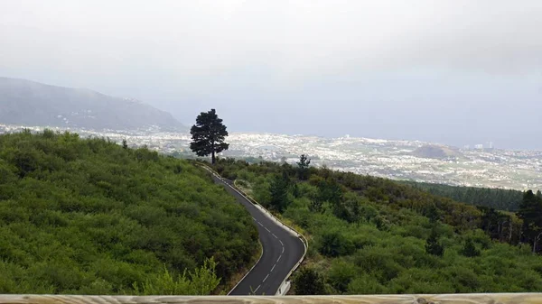 Teide yanardağ üzerinde kıvrımlı serpantin yollar — Stok fotoğraf