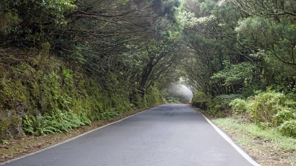 Strade sinuose a serpentina in montagna anaga — Foto Stock