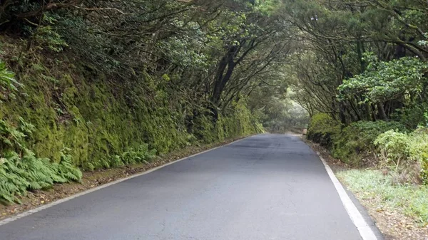 Strade sinuose a serpentina in montagna anaga — Foto Stock