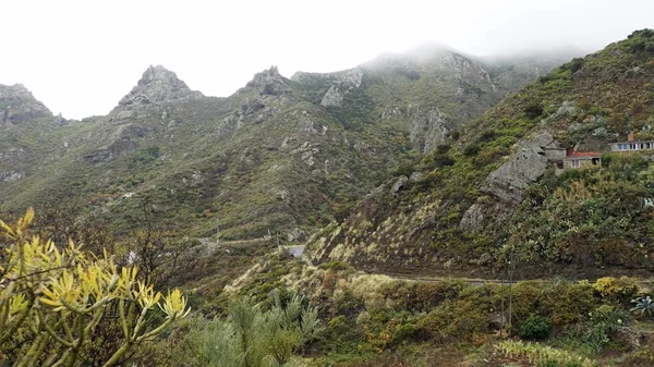 Estradas serpentinas curvilíneas em montanhas anaga — Fotografia de Stock