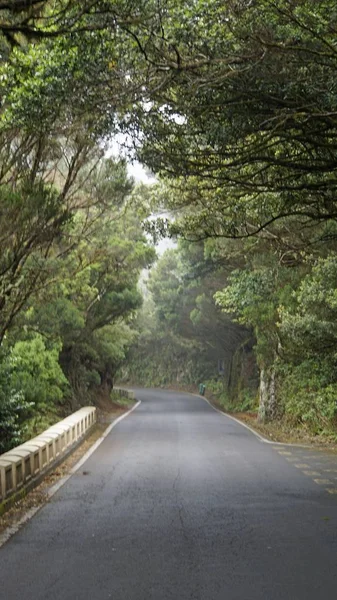 Caminos serpenteantes con curvas en montañas anaga — Foto de Stock