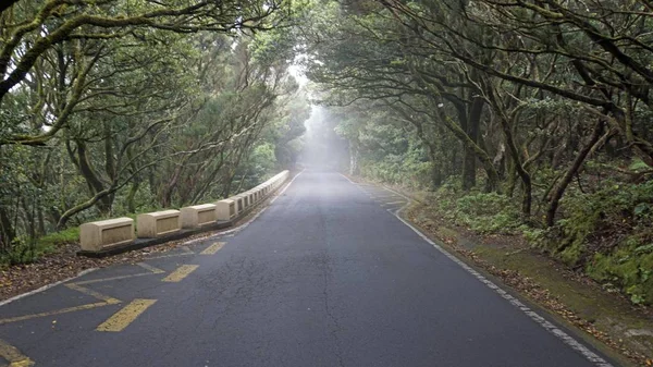 Strade sinuose a serpentina in montagna anaga — Foto Stock