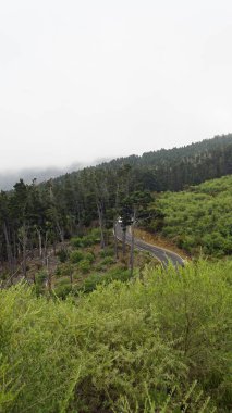 teide yanardağ üzerinde kıvrımlı serpantin yollar