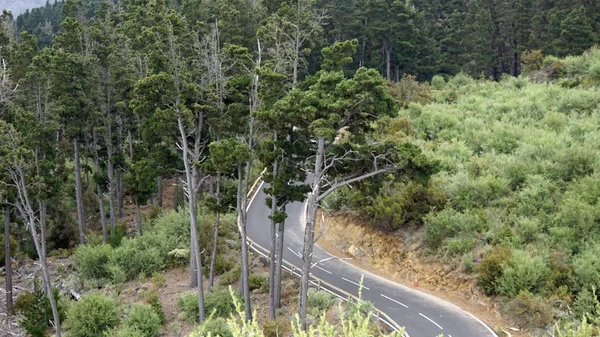 Strade sinuose serpentine sul vulcano teide — Foto Stock