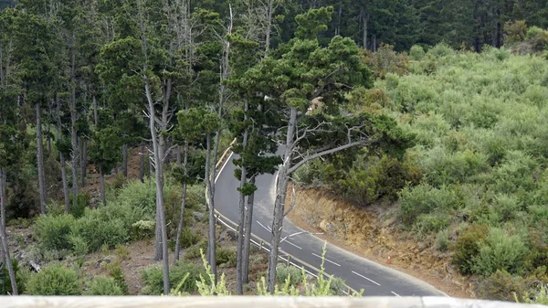 Curvas carreteras serpentinas en el volcán teide —  Fotos de Stock