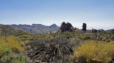 Teide parkta büyük kaya oluşumları 