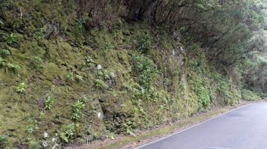 teide yanardağ üzerinde kıvrımlı serpantin yollar