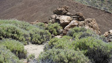 teide yanardağ üzerinde kaba volkanik landscpae