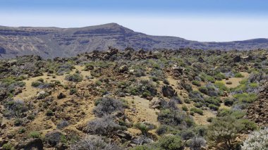 teide yanardağ üzerinde kaba volkanik landscpae