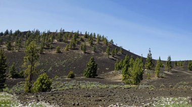 teide yanardağ üzerinde kaba volkanik landscpae