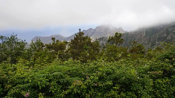 Paesaggio nuvoloso e nebbioso in montagna anaga — Foto Stock