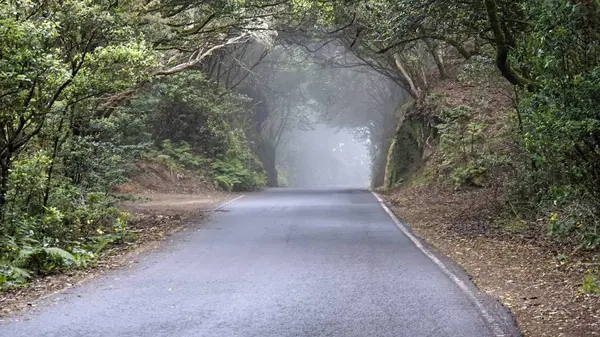 Strade sinuose serpentine sul vulcano teide — Foto Stock