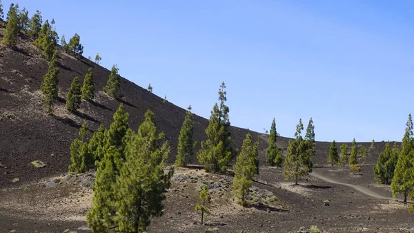テイデ火山の荒い火山の土地 — ストック写真