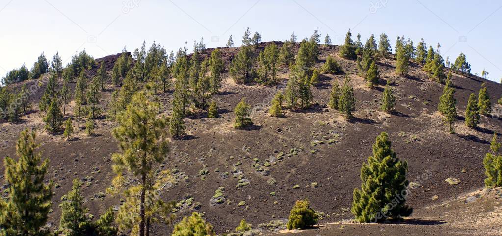 Rough volcanic landscpae on teide volcano — Stock Photo © chriss73 #278591024 Rough volcanic landscpae on teide volcano