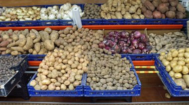 santa cruz egzotik pazar