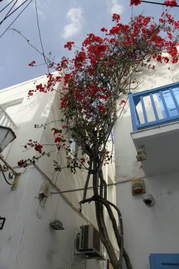 mikonos adasında yunan köyü