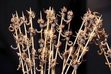 bir sopa üzerinde kızarmış akrepler