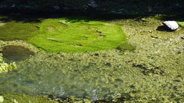 Färgglada matka canyon i norra makedonien — Stockfoto