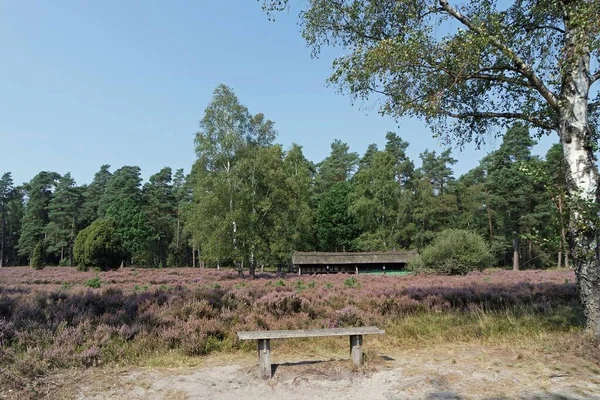 Comfortabele bank in de lueneburg heide — Stockfoto