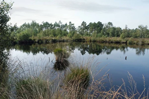 Βάλτος γη pietzmoor στη Γερμανία — Φωτογραφία Αρχείου