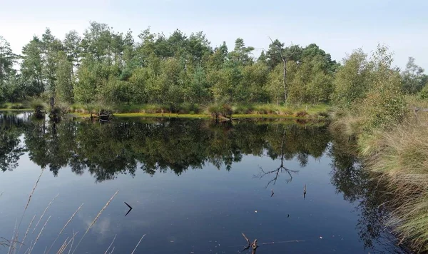 Βάλτος γη pietzmoor στη Γερμανία — Φωτογραφία Αρχείου