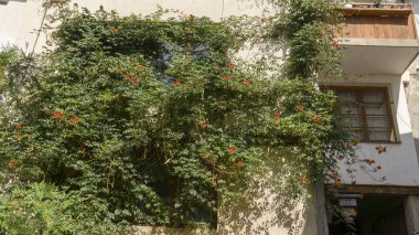 Kuzey Macaristan 'daki Ohrid kasabasından mimari ayrıntılar