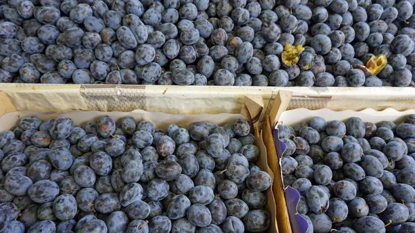Fruits frais du marché de skopje — Photo