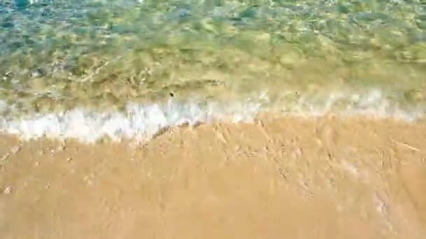 夏の砂浜で青い海の泡と柔らかな波 — ストック動画
