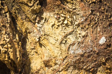 Taş ya da kaya dokusu ve arkaplan.