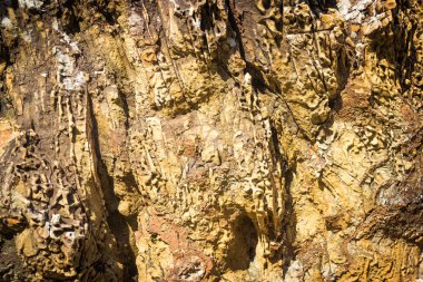 Taş ya da kaya dokusu ve arkaplan.