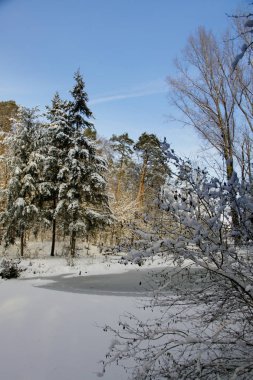 Kışın yürüyüş