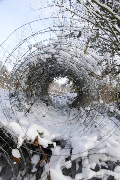 Clôture à mailles de chaîne dans la forêt — Photo